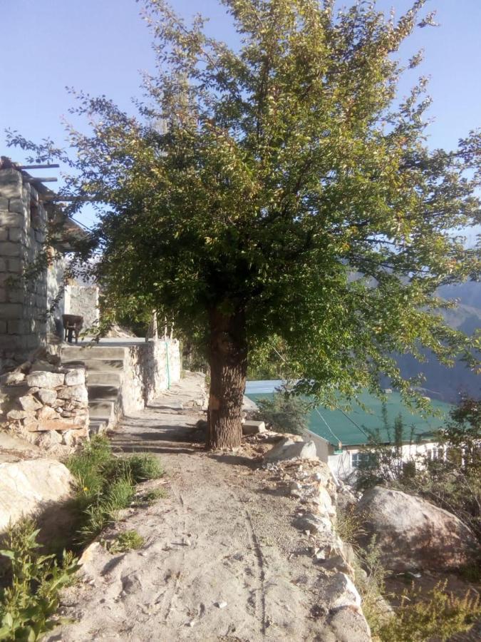 Venus Mountain Resort, Hunza Karimabad  Екстериор снимка